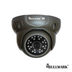 Bullwark BLW-2201IP-D 2MP Infrared Dome IP Kamerası